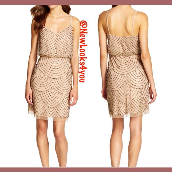 NEW Adrianna‎ Papell Beaded Mesh Blouson Dress in Taupe Pink [ 0 4 6 10 12 14 ] - Picture 9 of 16